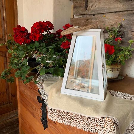 Balta Maja Otel Pilsrundāle Dış mekan fotoğraf
